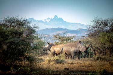 Safari di 5 giorni sul Monte Kenya e Masai Mara da Nairobi
